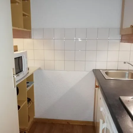 Apartment 2 Pieces, Skis Aux Pieds, Balcon, A 50m Telecabine, Creve Coeur - Fr-1-356-356
