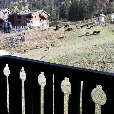 2 Pieces, Skis Aux Pieds, Balcon, A 50m Telecabine, Creve Coeur - Fr-1-356-356 Apartment Valmorel
